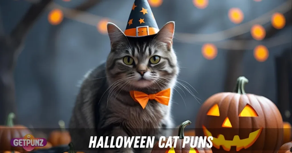 Halloween cat puns