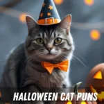 Halloween cat puns