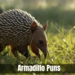 Armadillo Puns