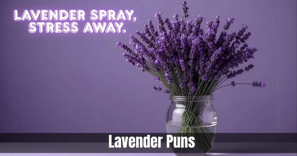 Lavender Puns