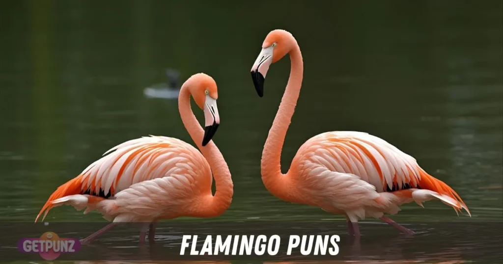 Flamingo Puns