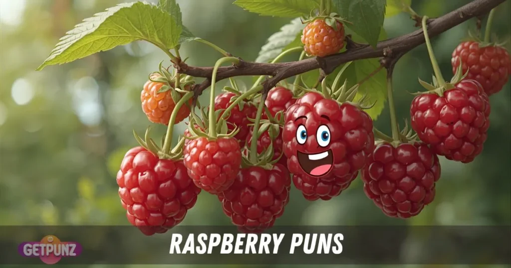 Raspberry Puns
