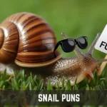 Snail Puns