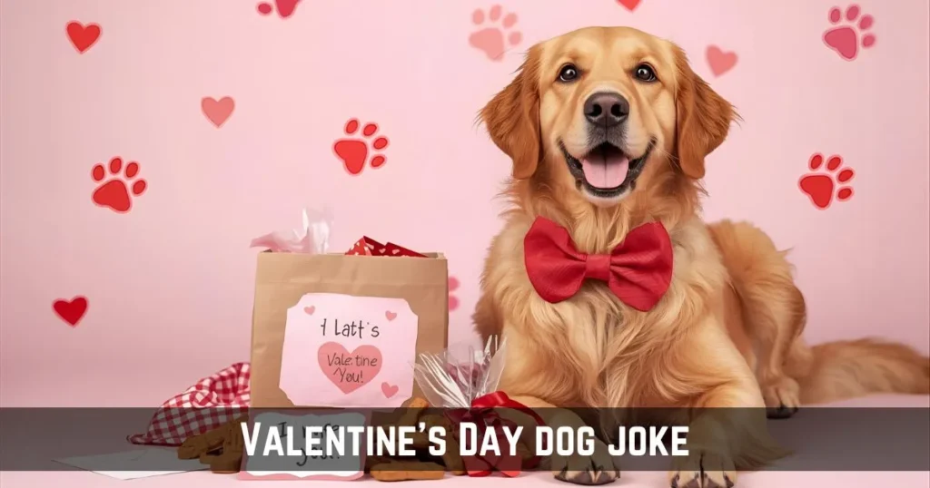 Valentine’s Day dog Puns