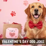 Valentine’s Day dog Puns