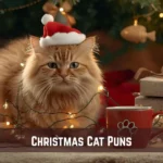 Christmas Cat Puns