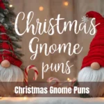 Christmas Gnome Puns